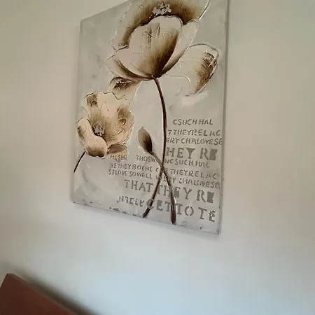 51 *